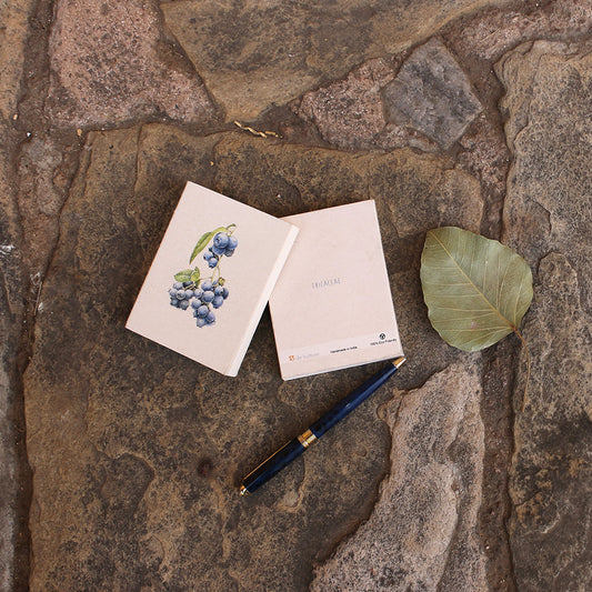 Blaubeer-Taschenkalender mit botanischer Illustration, 2er-Set