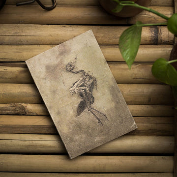 Bird Fossil Handmade Notebook